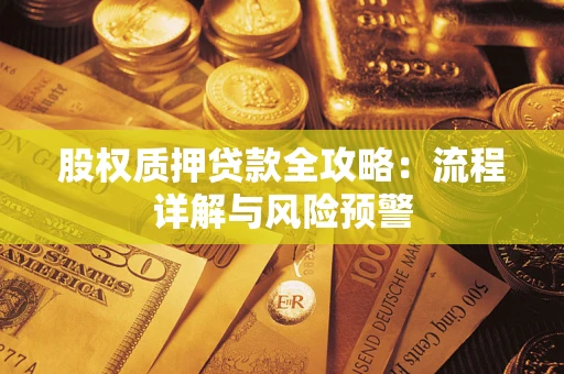 北京股权质押贷款全攻略：流程详解与风险预警