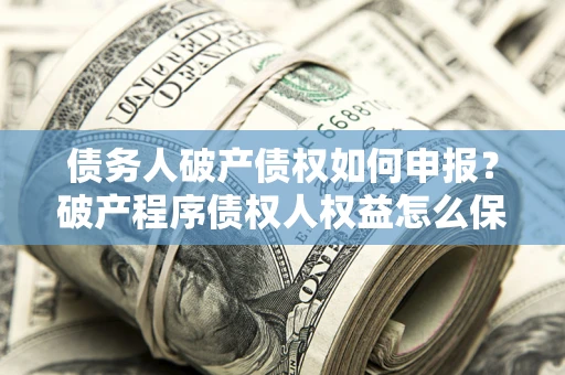 北京债务人破产债权如何申报？破产程序债权人权益怎么保障？