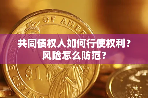 北京共同债权人如何行使权利？风险怎么防范？