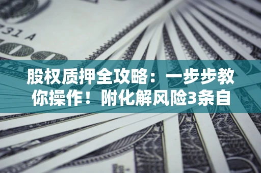 北京股权质押全攻略：一步步教你操作！附化解风险3条自救法则