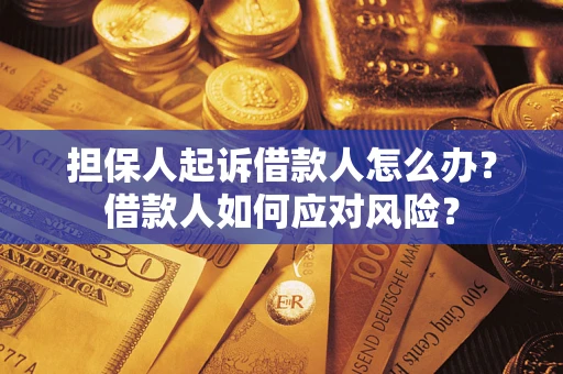 北京担保人起诉借款人怎么办？借款人如何应对风险？
