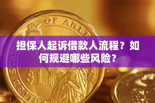 北京担保人起诉借款人流程？如何规避哪些风险？