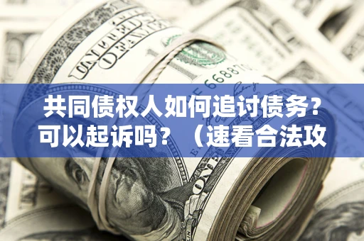 北京共同债权人如何追讨债务？可以起诉吗？（速看合法攻略）